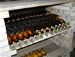 Pohodový víkend - Evropské slavnosti - Maďarsko - Tokaj - lahve proslulého tokajského, vína které stojí za ochutnání