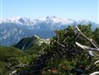 Pohodový víkend - Víkendy a týdny v horách - Slovinsko - Julské Alpy - Triglav přes kosodřevinu
