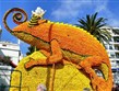 Pohodový víkend - Evropské slavnosti - Francie - Menton - Festival citrusů, přijel i zástupce Madagaskaru