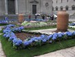 Pohodový víkend - Evropské slavnosti - Itálie - Viterbo - květinové slavnosti San Pellegrino in Fiore