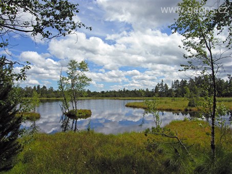 Pohodový víkend - Víkendy a týdny v horách - Německo - Schwarzwald - Kaltenbronn Wildsee