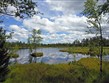 Pohodový víkend - Víkendy a týdny v horách - Německo - Schwarzwald - Kaltenbronn Wildsee