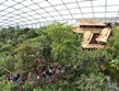 Německo - Lipsko - Gondwanaland 