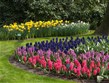 Holandsko  - Keukenhof