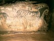 Pohodový víkend - Víkendy a týdny v horách - Francie, Quercy, Pech Merle, jeskyně s malbami neolitického člověka