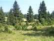 Pohodový víkend - Víkendy a týdny v horách - Česká republika - Šumava - původními porosty tohoto pohoří jsou podmáčené smrčiny