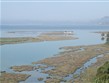 Pohodový víkend - Víkendy a týdny v horách - Albánie - Skadarské jezero je lemováno mokřinami a rákosinami