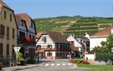 Pohodový víkend - Alsasko - Francie - Alsasko - Ribeauville -pohled na vinice